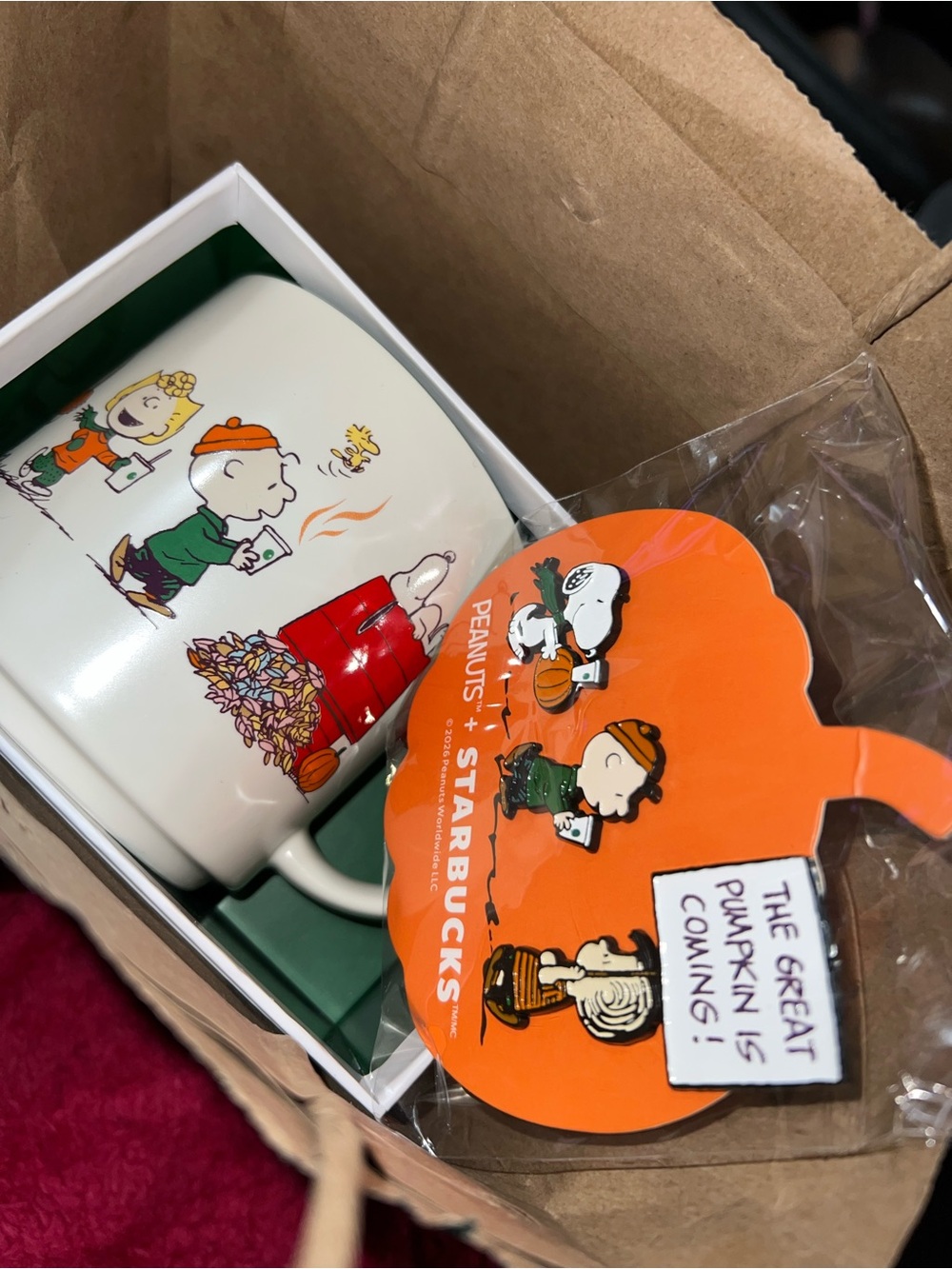 Starbucks Peanuts Fall Mug - White with Orange and Green Accents with the pins